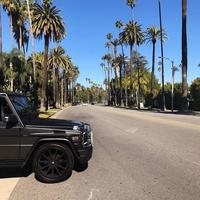 Отзыв от Евгений - DTV виза